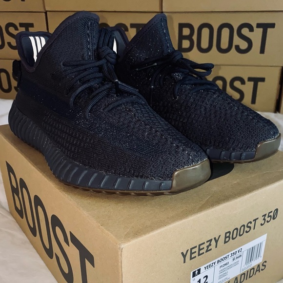 Yeezy 350 V2 Cinders (M 12) - Picture 9 of 10